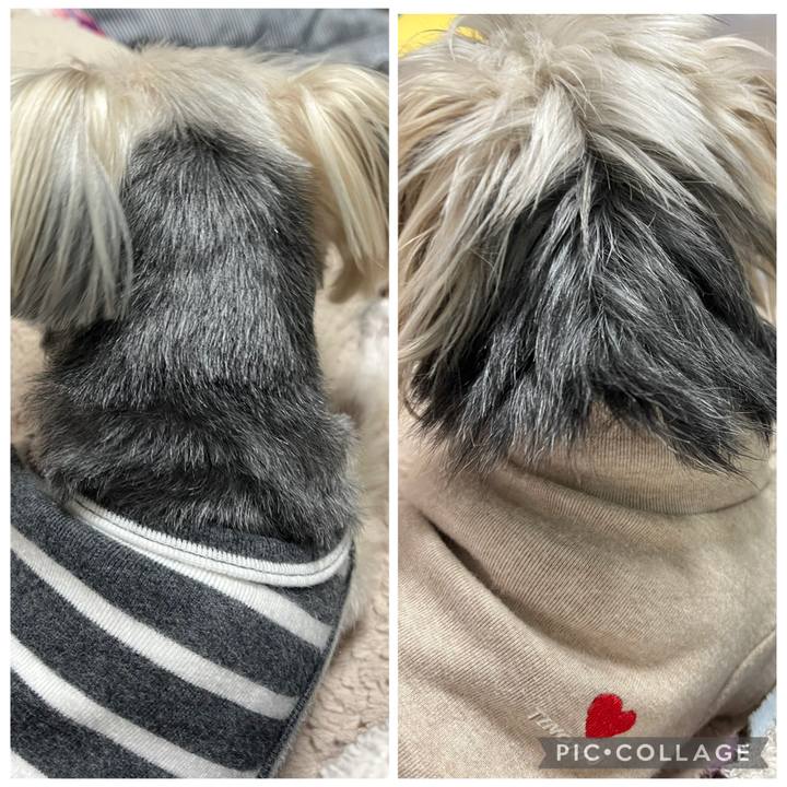 D0690656 bdc5 4d6e 9fe8 fbdb6fff8a26 1771415485012