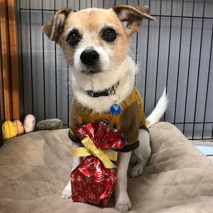 D06928df b9a3 487a b904 76e4defc547b 1608855379305