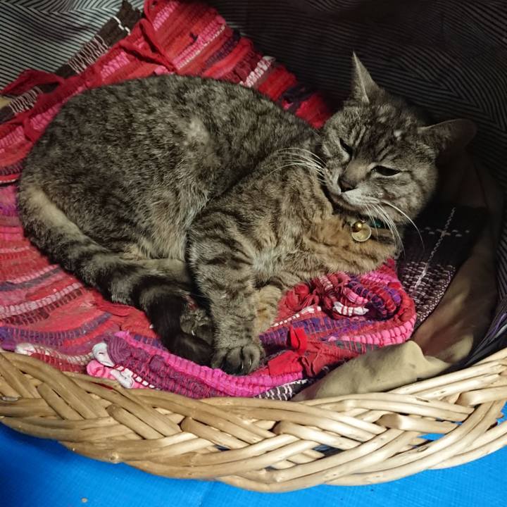 D0692a36 74ab 49d7 8b7a ced1e070b362 1558386433234