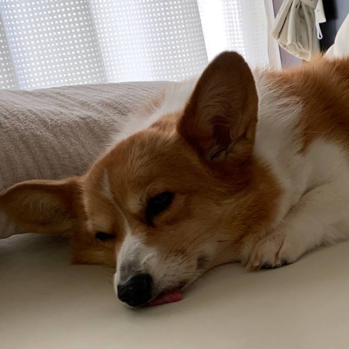 D06948d4 cf75 470e 9f60 cf4befe3af65 1596327958303