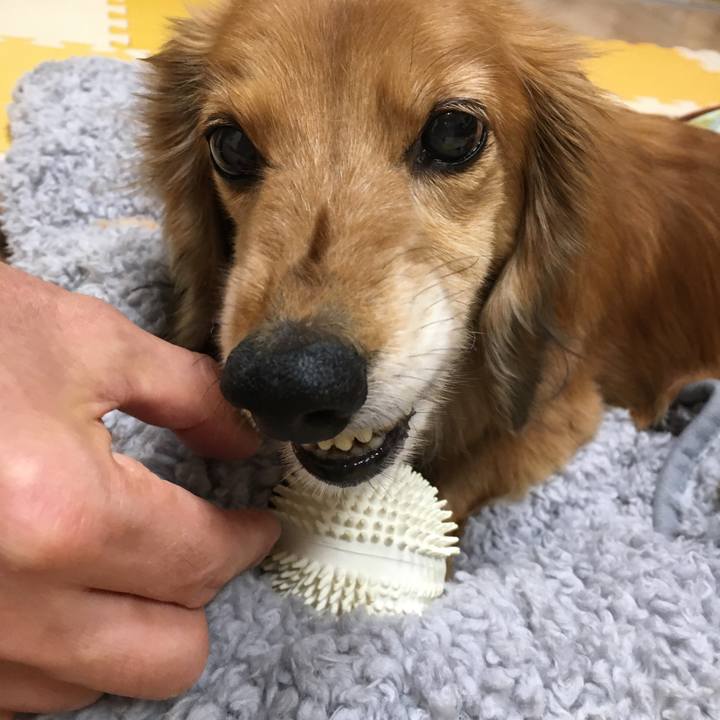 D069774c f17d 4b72 ba06 f3098cbef88c 1612702696255