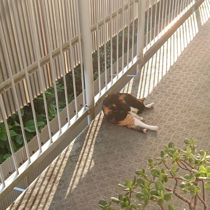 D0699374 2c3b 4b0a 945b 8948f117620a 1597269123376