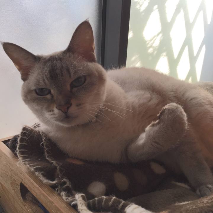 D0699a64 b28d 4c90 b0cd bd0d7f0a5788 1540278364243