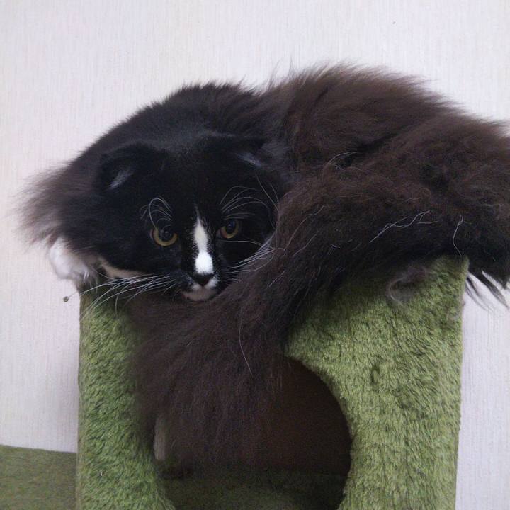 D069a3b6 8af3 4a26 b346 4576d38e76de 1665145265408