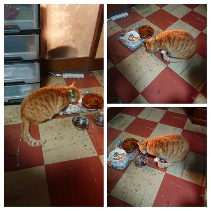 D069a69c ed53 47c9 9905 057f44db684b 1585861127196