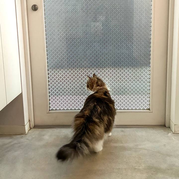 D069a987 f471 400e 9505 cf1e7825a7c2 1772783915316