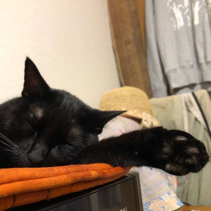 D069b11f 762a 421c 80b8 4ab9b506ed0a 1561558211894