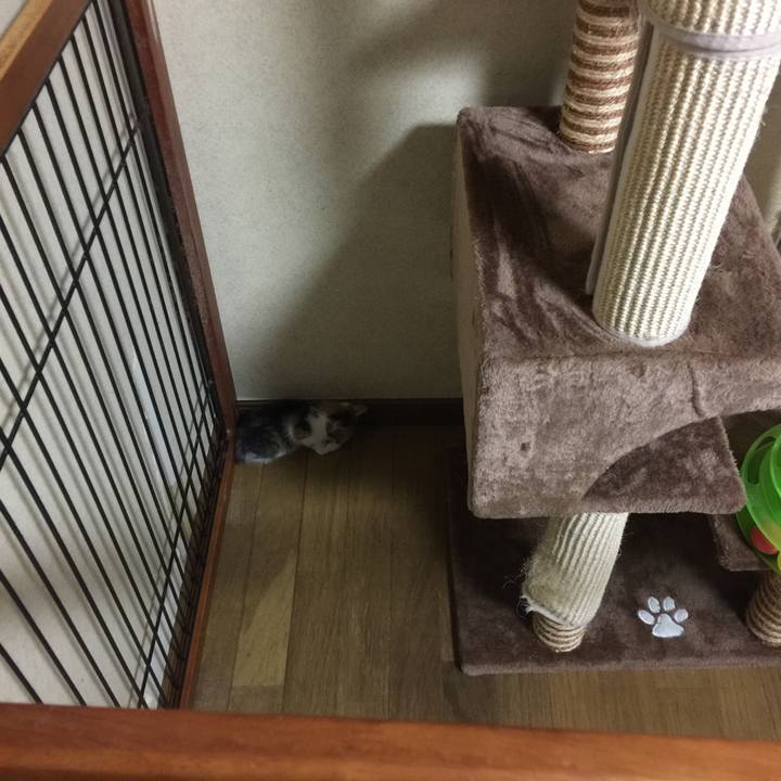 D069d29a d452 45d0 96c1 76d93d5f5537 1628329108512