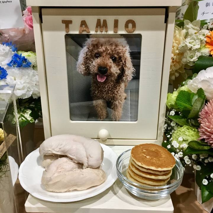 D069fac0 1a42 4f43 9b96 2e224a798c4b 1562071539267