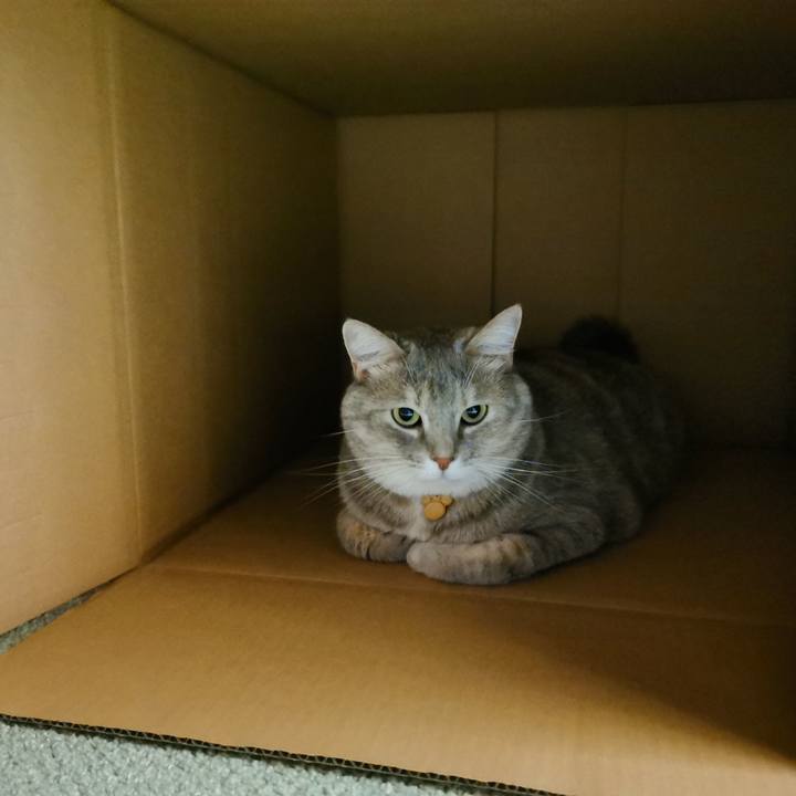 D06a79ea 4fa9 4fcb 9780 0346351eb56e 1634134200936