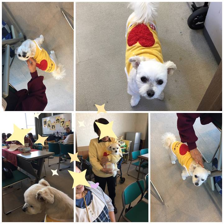 D06ab44c c697 46ca b796 50e50d80afc2 1542181513356