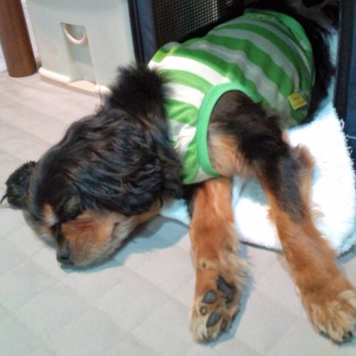 D06ad402 c071 4269 bf3c 55a5f1ac1e75 1591861227178