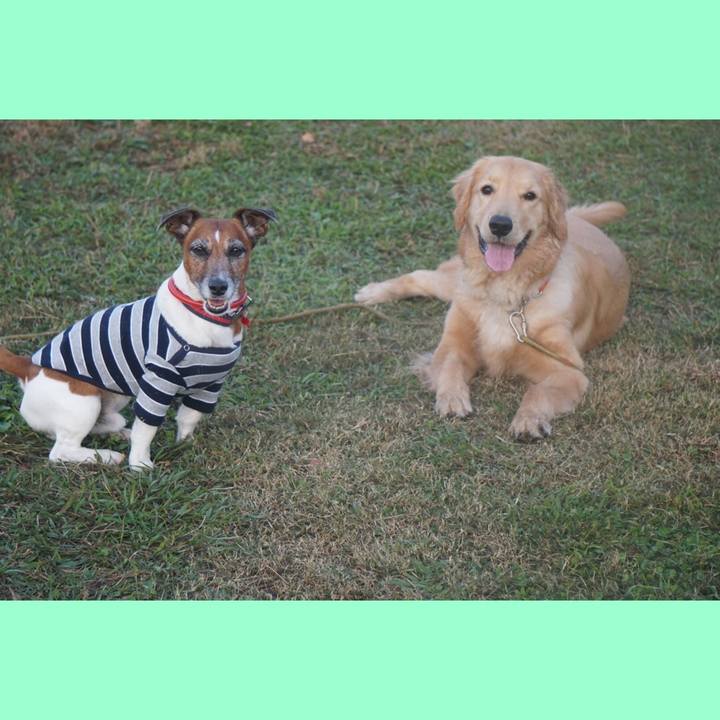 D06ae8a1 1d16 4a95 a3f8 601ca79c7bad 1605655258517