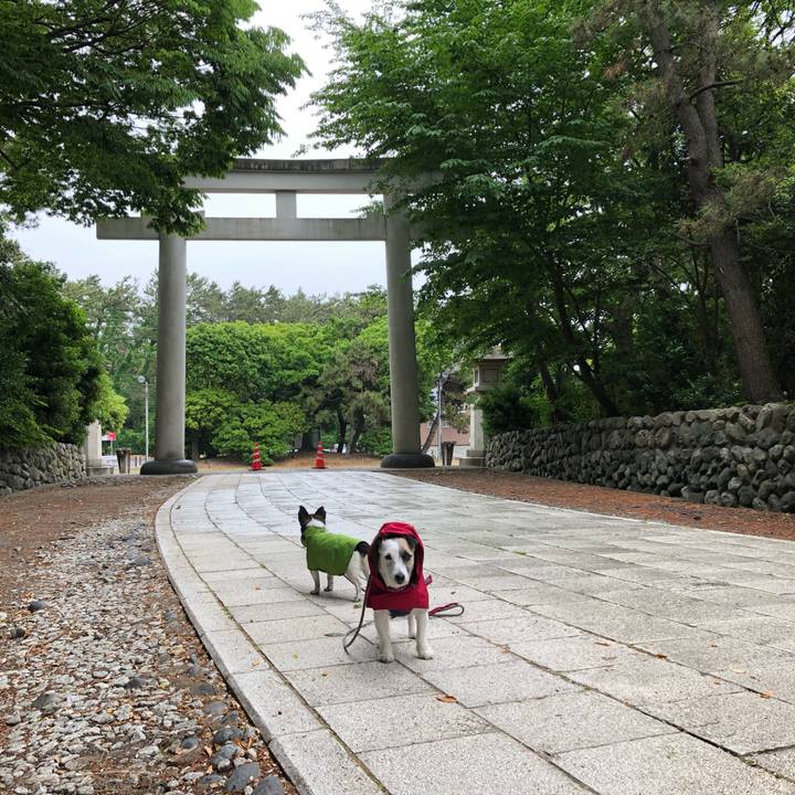 D06afbae a135 42bd 97c0 8f7b9d713a56 1558998336787