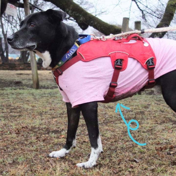 D06b43e3 018b 4bf1 9e7a 913a4f3ef768 1673831090793