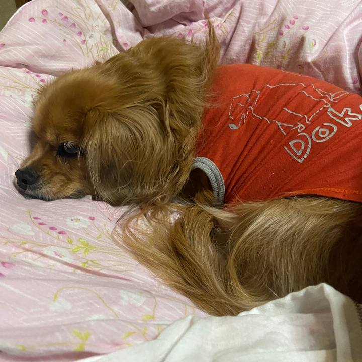 D06bb36b d78d 4d9e 9d60 6291e44d6858 1671746321908