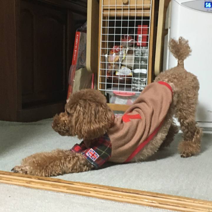 D06bdd37 dd4e 4b1d b9be 22c41e5a1872 1512180546971