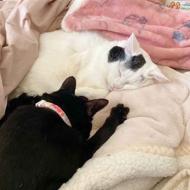 D06be272 b69a 4e3e 9b5f fd8369a9d788 1648022302116