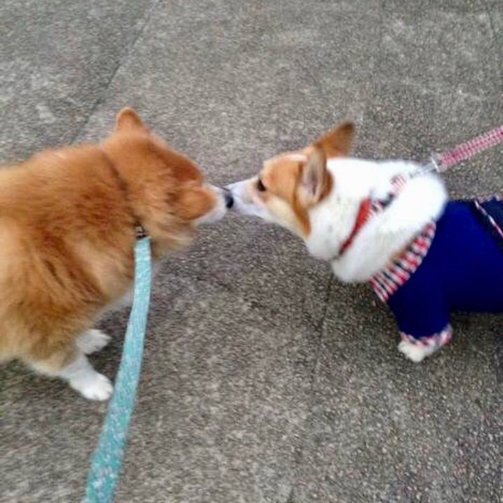 D06be51f 3a45 4ef1 b93d 2ec8317f4ba7 1527039755406