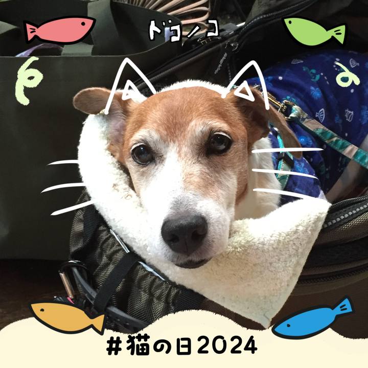 D06be898 de7e 4b2c 88da 43d1691fd5b3 1708561024879