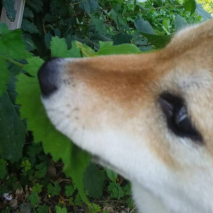 D06c0b7a d694 4134 a231 eacf8ab8496b 1536387992797