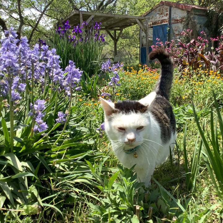 D06c0cf3 5455 45c4 b40a 9c176e51cd7a 1619534075905