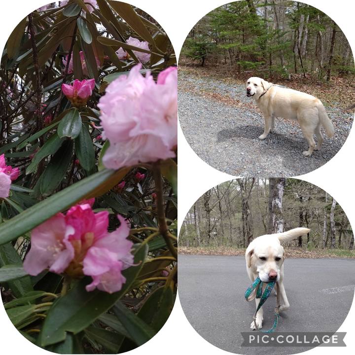 D06c4ab3 5f47 438f aeec f448b1a0a587 1683345490676