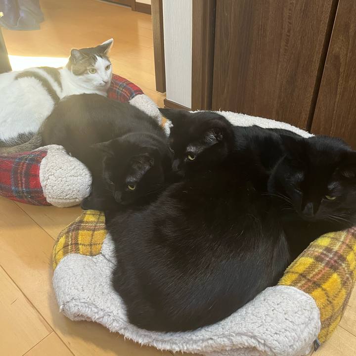 D06c7feb 577c 4f31 9f66 2a20293501fc 1706585162850