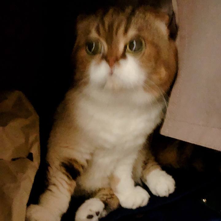 D06ca5ec 317f 4a28 9240 7b16881978d4 1569163491714