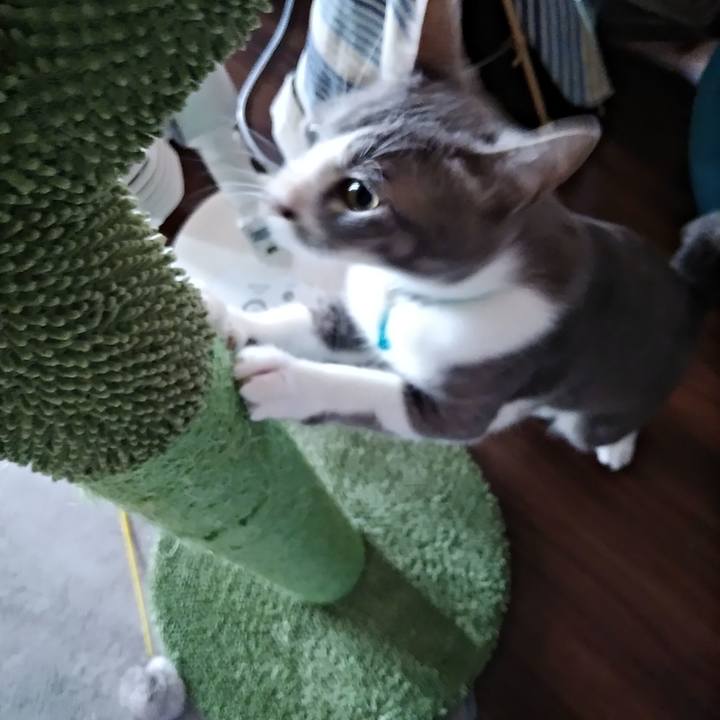 D06cb74f 6bbb 4819 be70 6eaf451b38c9 1594506077706