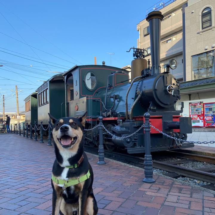 D06cc251 b569 4712 8466 f545d060d08b 1637407042301