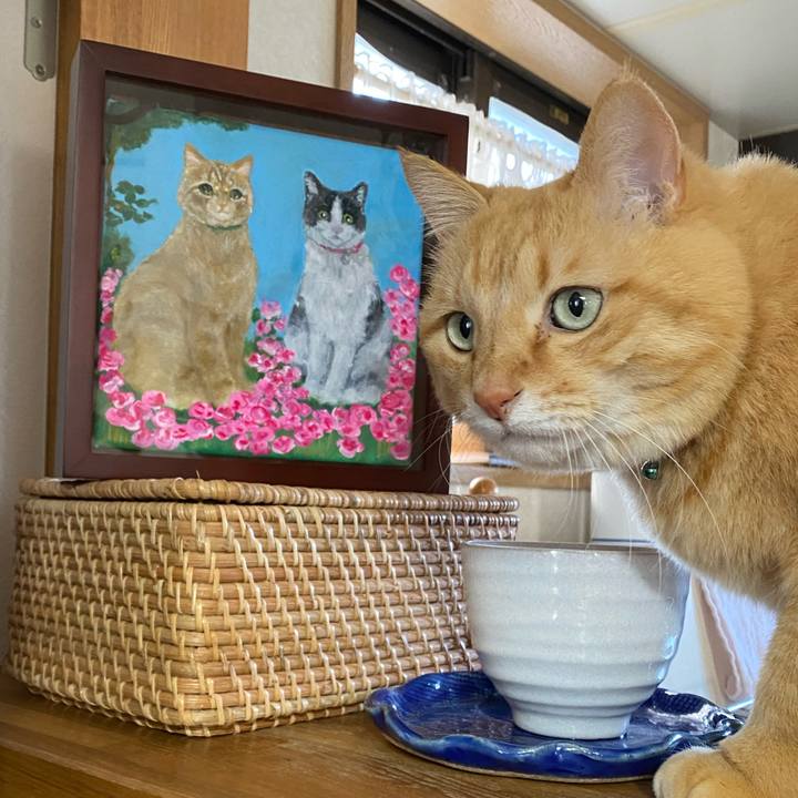 D06cd175 777c 4124 ba48 f265575ce0e0 1679271321428