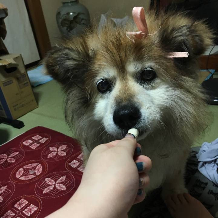 D06d0bbb 4b21 42f3 8af9 493d00cedeaa 1566441380195