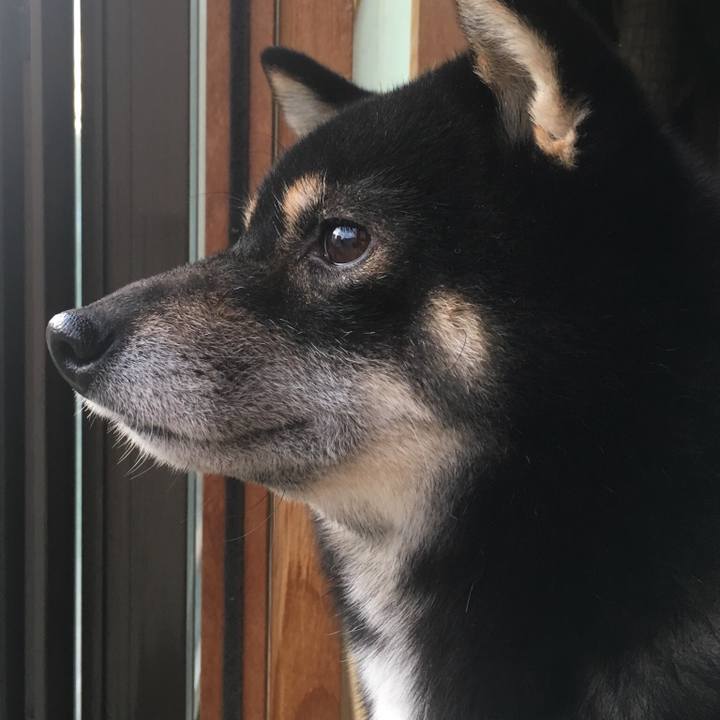 D06d0dac 33c7 4d03 895d 7fa1f5db6bf4 1509432550304