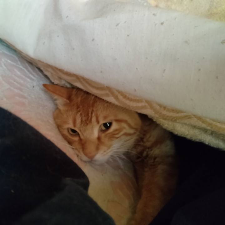 D06d454a e564 4824 871c c1cad449d145 1681769911148