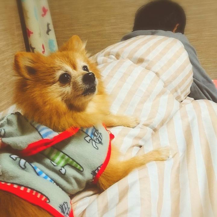 D06d54dd bb48 45e7 9225 3a953c5953fb 1514560153532