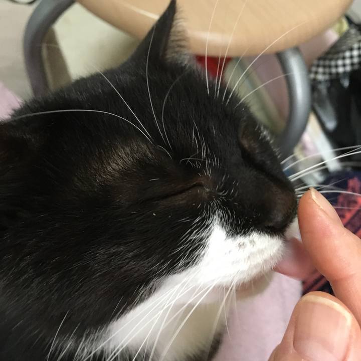 D06d9e7e 047a 4ae8 b417 eef1d5c82282 1524644382433