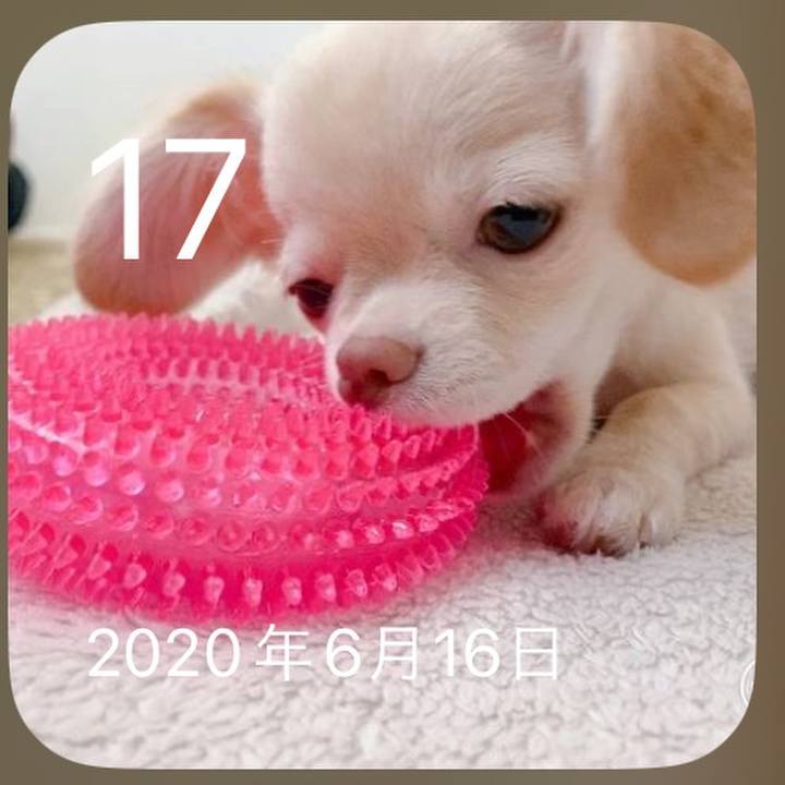 D06da866 5e3a 4976 abbf 7bbeafbb57b0 1687004028610