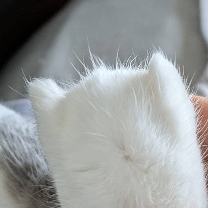 D06db24b 5943 4f9b aa80 d03c3d6c46cc 1749168197445