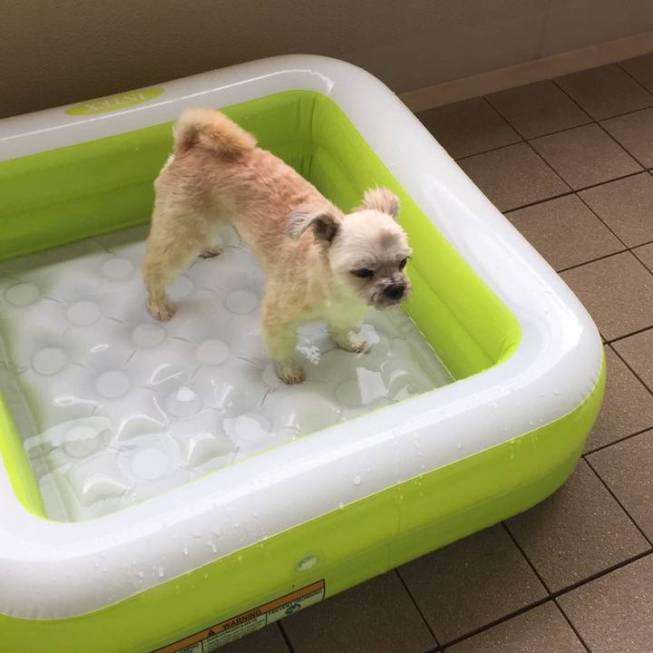 D06e2397 6bf1 4ef1 8d27 f9c7369d6cef 1565686238068