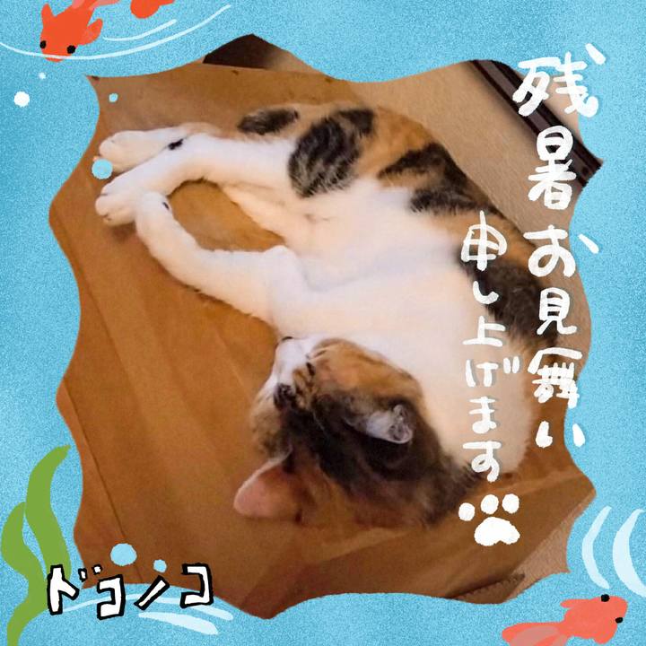 D06e5dc0 59dd 43b5 8534 98aca5002a80 1723344864530