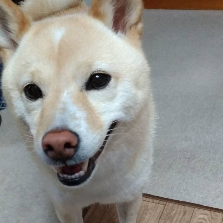 D06e6180 d001 4582 b1a6 8113d9a3e874 1594677914430