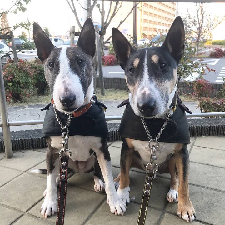 D06e8756 8033 4e2d 885d 7c31cd7d0a7d 1511078879368