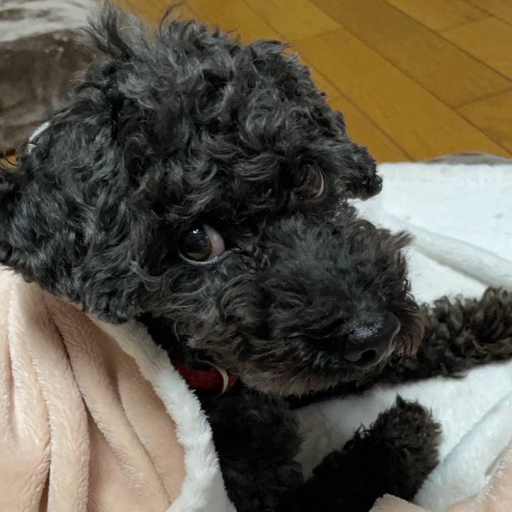 D06ef969 5f77 4aa8 a2d3 9a39449223cd 1703320875450