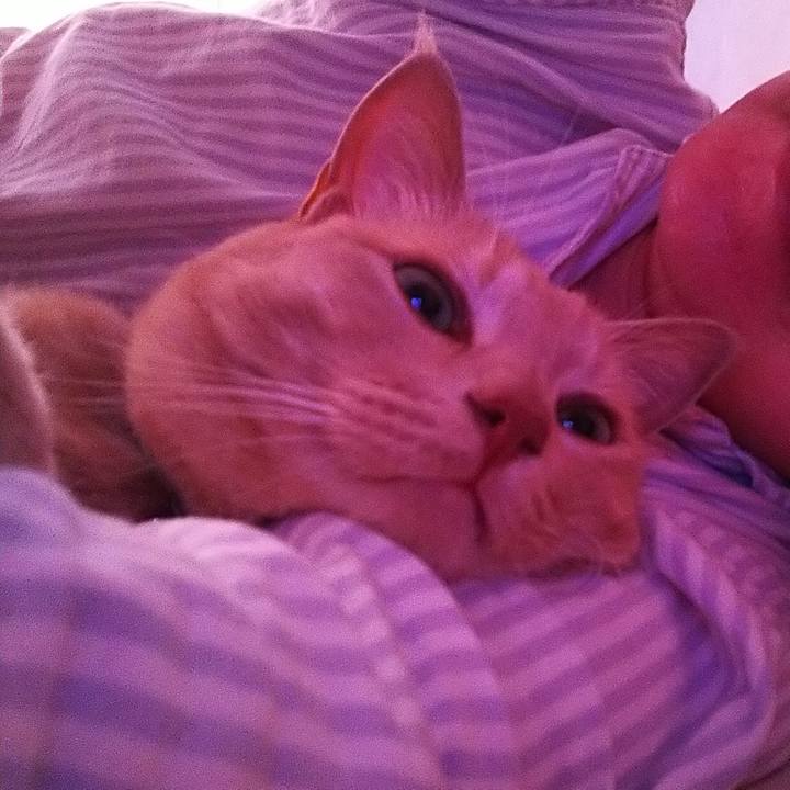 D06f0e6c 1df3 475b bc1f d34e387e6189 1626563209635