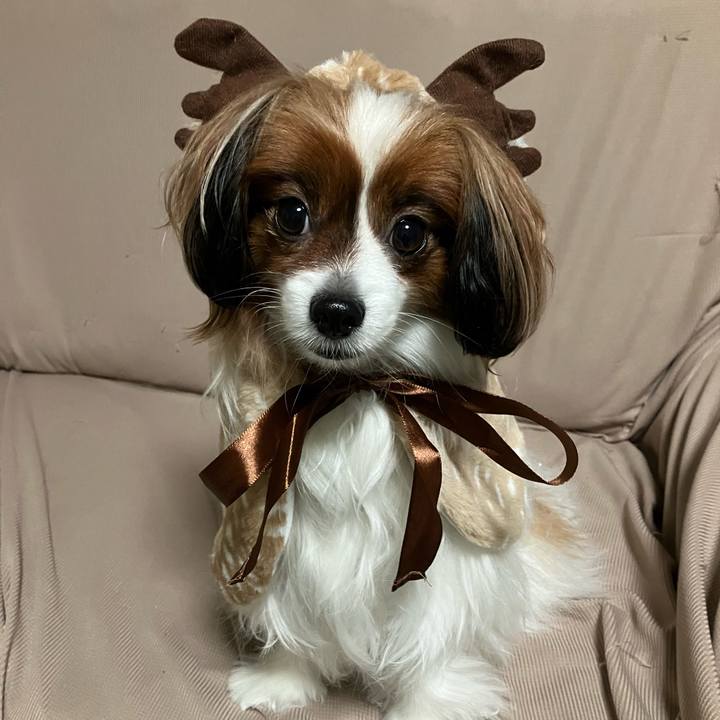 D06f1f7a fe14 4fb7 8b56 3eb0bc98f422 1733527924015