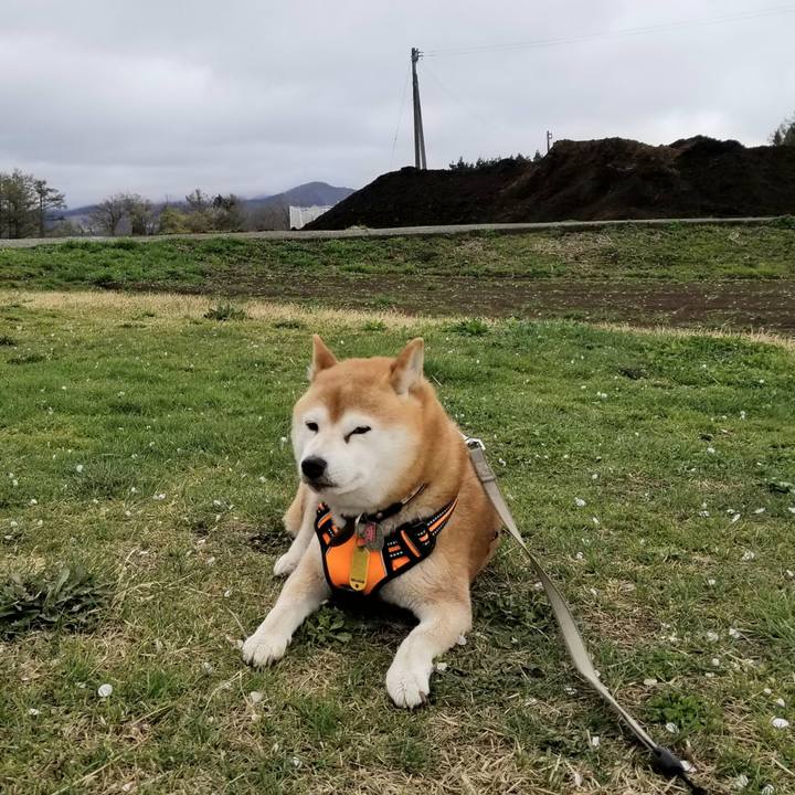 D06f8228 c1c5 49e1 9c87 da5c93c386ab 1618379131741