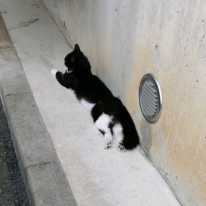 D06fa08e d215 43bb a2e6 7e955e52a20a 1596358550707