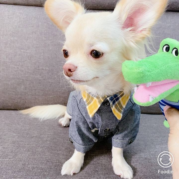 D06fb2c7 1e4e 4922 acee a0cbb8edc21f 1603799804528