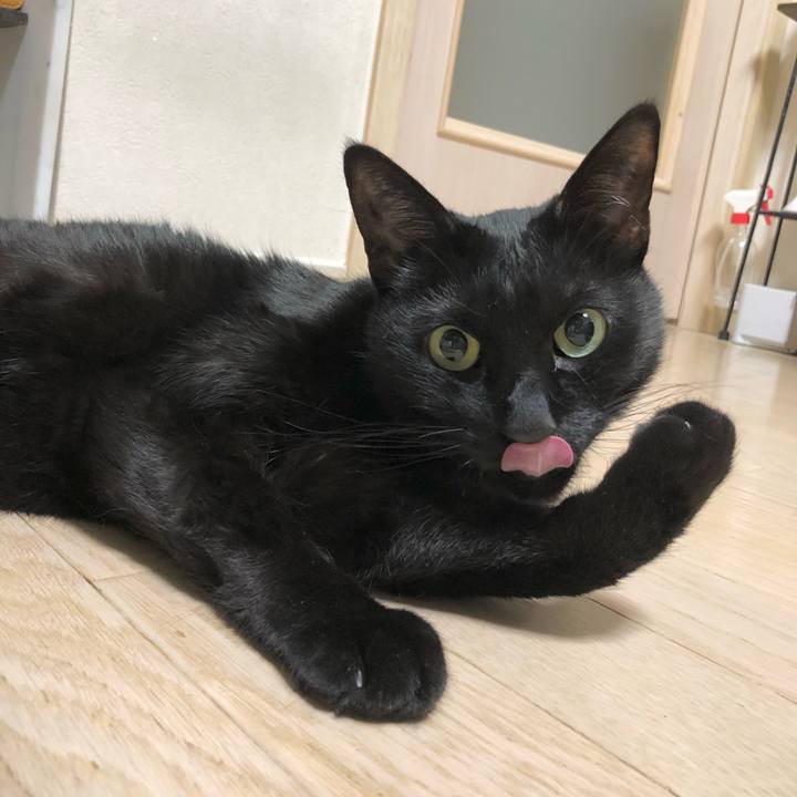 D06fd06e 9bb1 4101 b6b7 f4028deb51dc 1618490858535